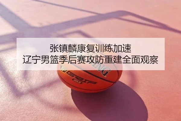 张镇麟康复训练加速 辽宁男篮季后赛攻防重建全面观察