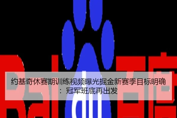 约基奇休赛期训练视频曝光掘金新赛季目标明确：冠军班底再出发