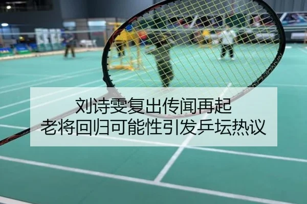 刘诗雯复出传闻再起 老将回归可能性引发乒坛热议